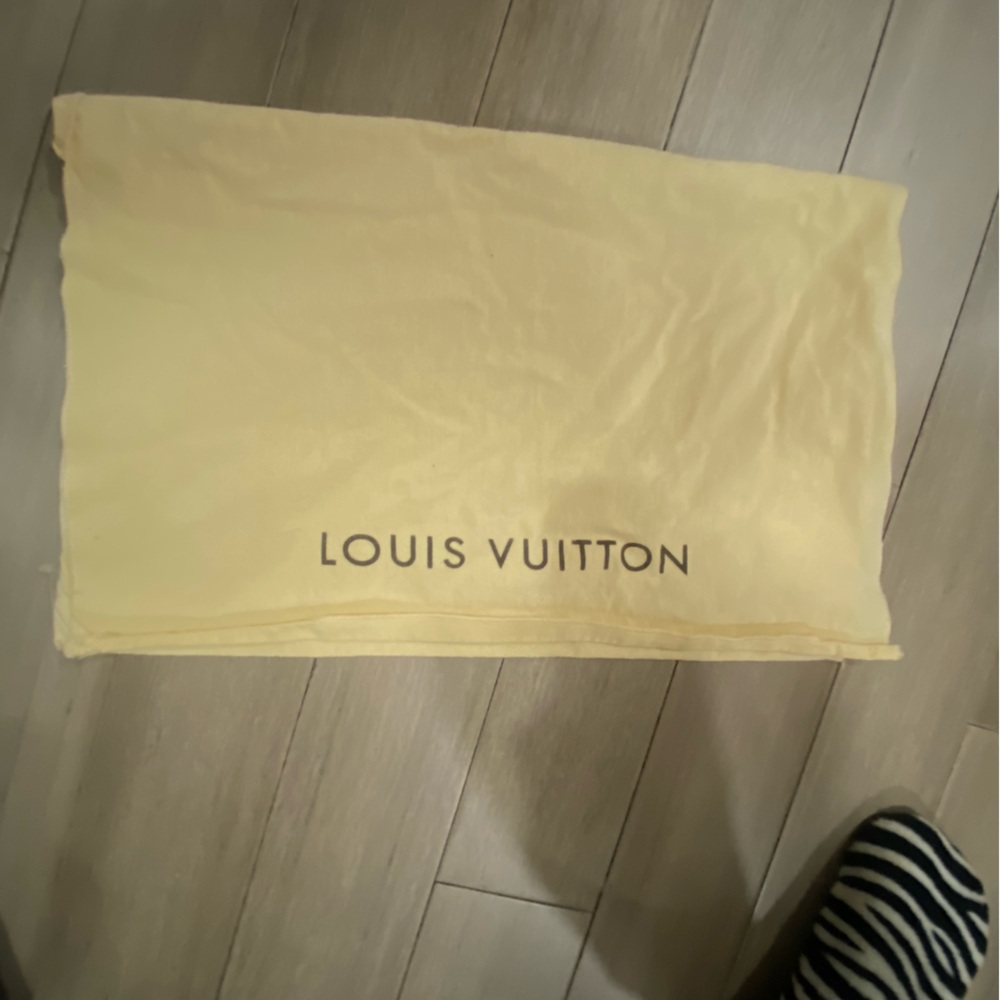 Louis Vuitton Dust Envelope(1)